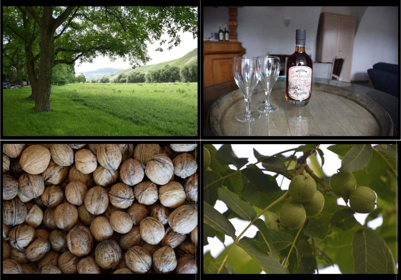 The Wine Cellar In The Old Gemeinde House เบราเนอแบร์ก ภายนอก รูปภาพ